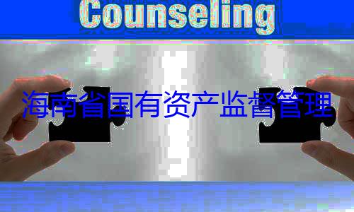 理委员会党委副书记王查调查资产监督管海南省国有有福接受审